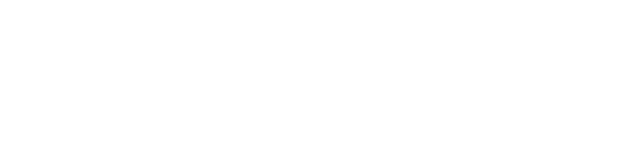 IT Protects LLC Logo White